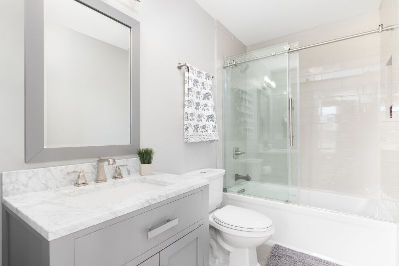 Top Tub To Shower Conversion Companies in Venice, FL